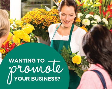 Casual Mall Leasing Opportunities